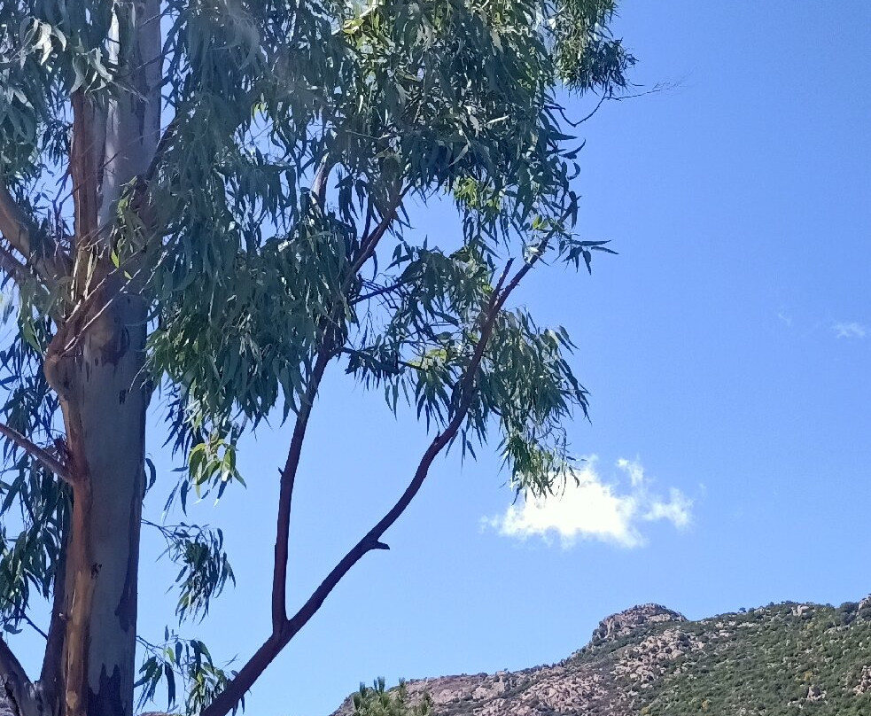 Sardinia Exploring-San Teodoro必去景点