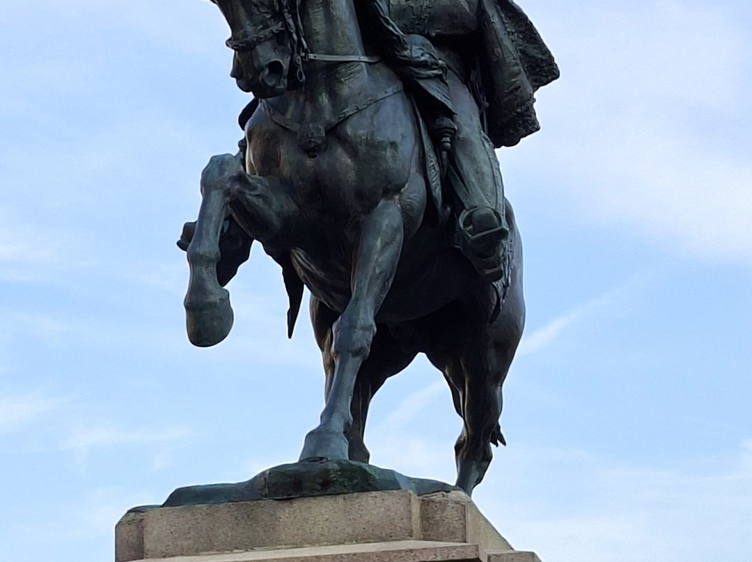 Statua Vittorio Emanuele II-诺瓦拉必去景点