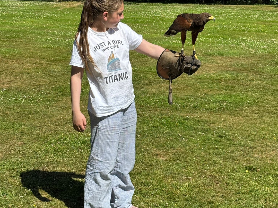 Dalhousie Castle Falconry-邦尼里格必去景点