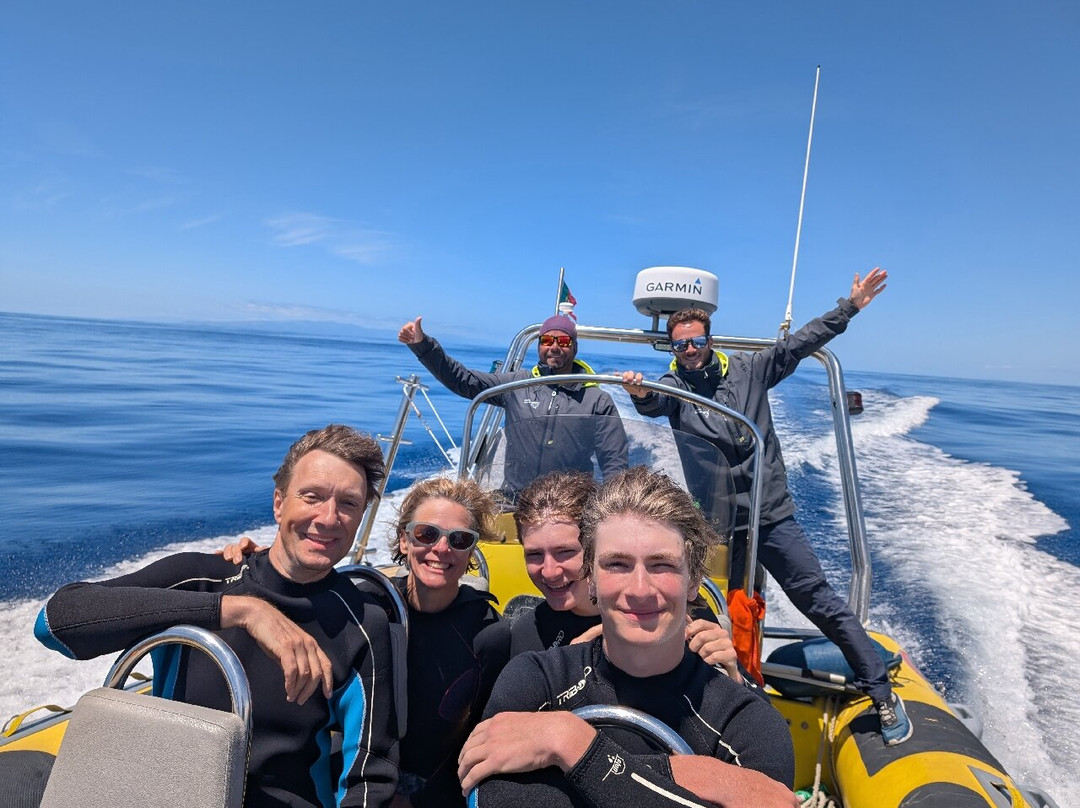 Water4fun - Whale Watching Terceira island-亚速尔群岛英雄港中心区必去景点