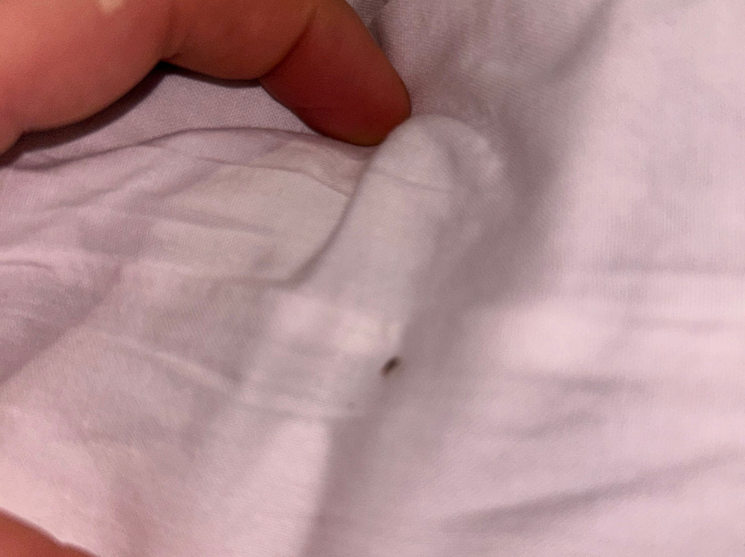 贝塞麦酒店主图