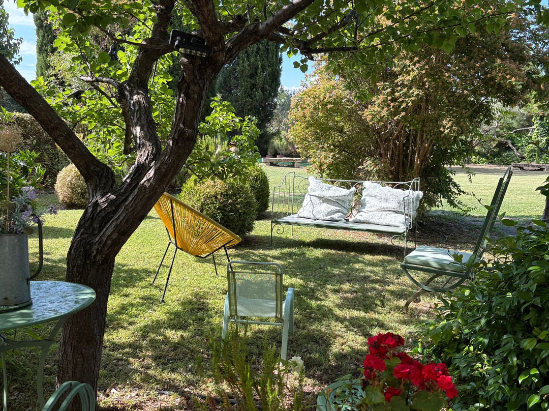 Domaine la Condamine主图