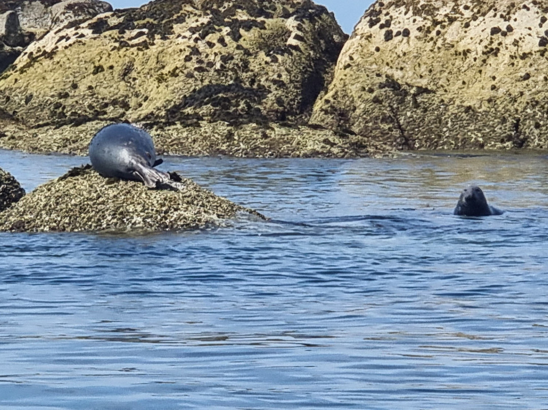 Breizh Tek Diving-Nevez必去景点