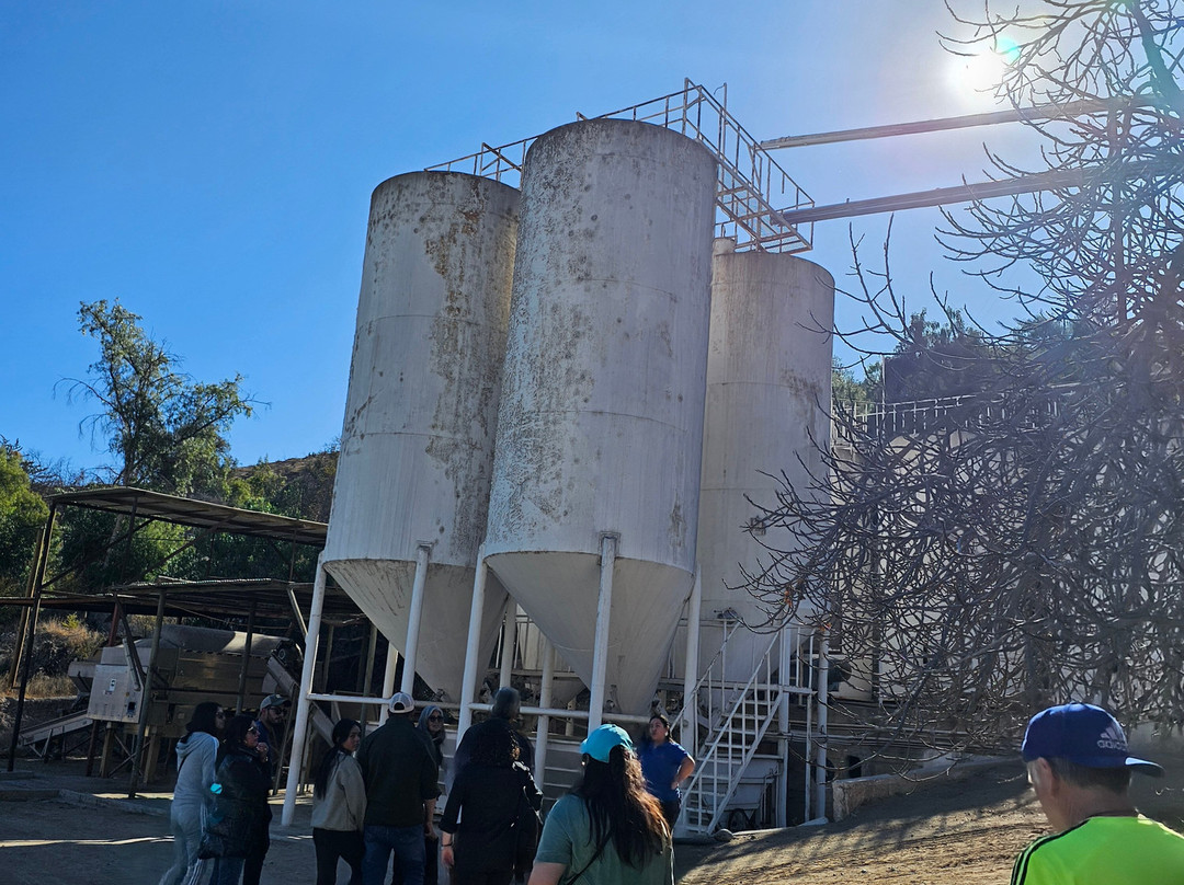 Pisquera Aba Oficial-Vicuna必去景点