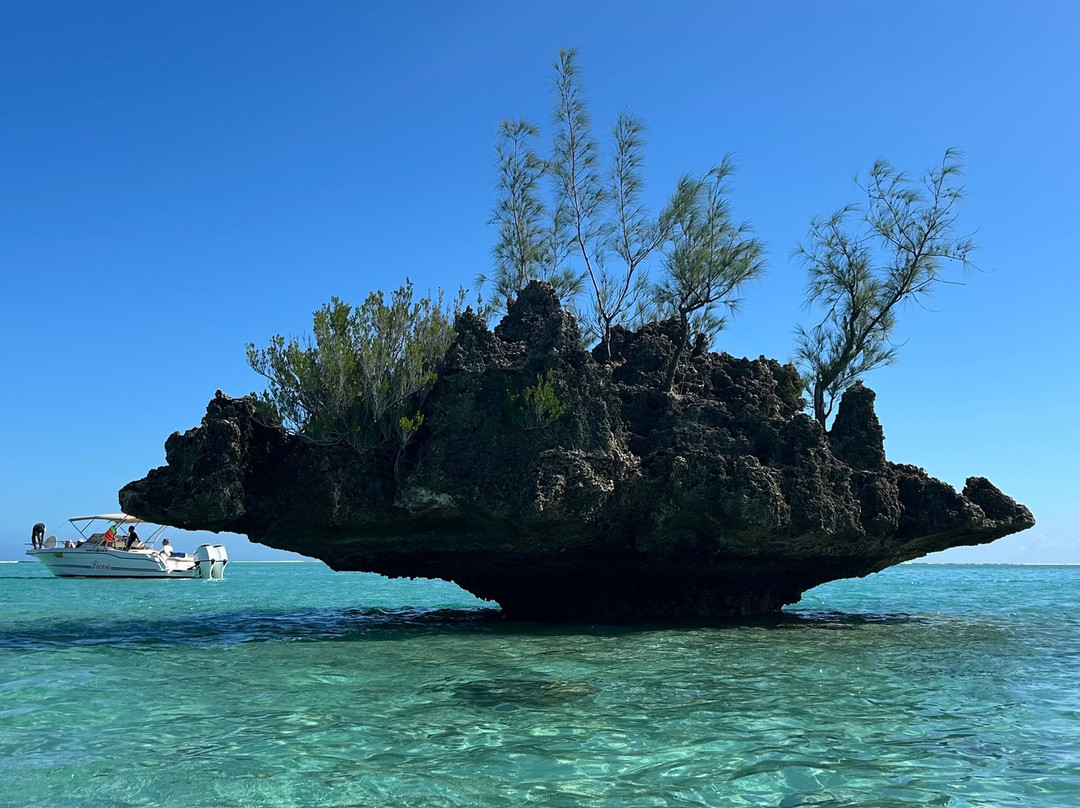 Mauritius Taxi & Tour Service-毛里求斯必去景点