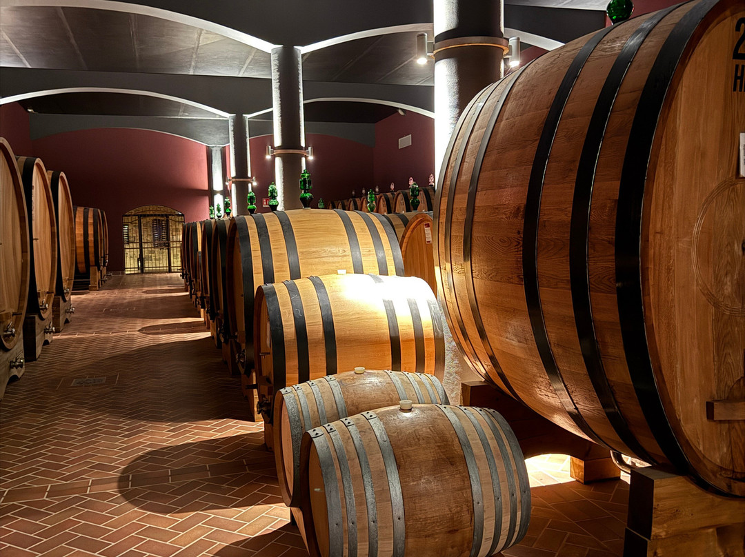 Caprili-蒙塔尔奇诺必去景点