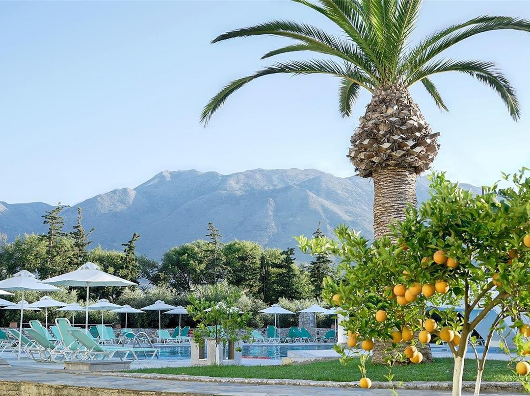 Kournas酒店住宿-Vardis Olive Garden