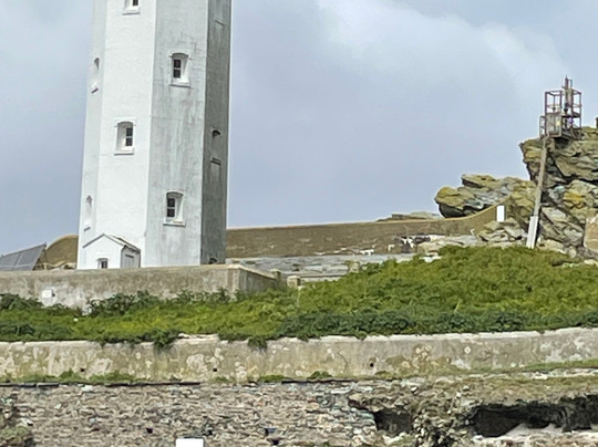 St Ives Boat Services-圣艾维斯必去景点