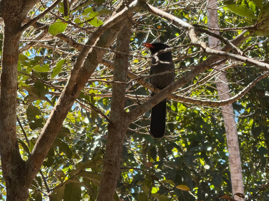 Refúgio das Águas Nobres-诺布里斯必去景点