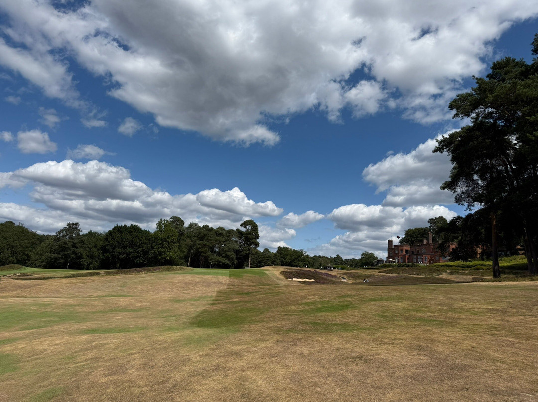 St George's Hill Golf Club-威布里治必去景点