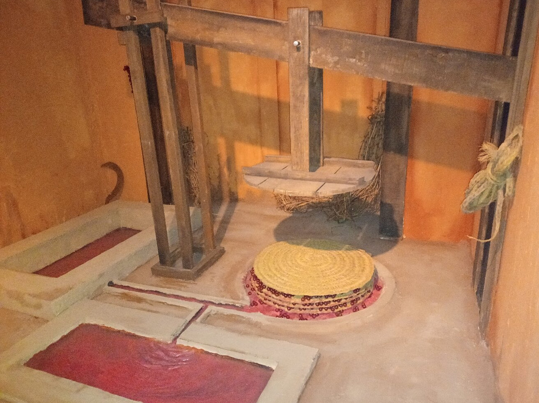 Museo Provincial-雷阿尔城必去景点