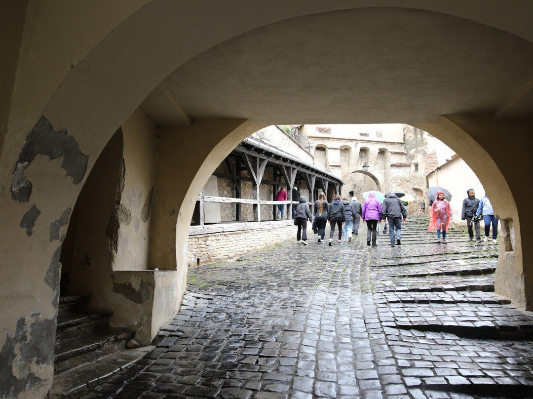 Culoarul Bătrânelor Doamne-锡吉索拉必去景点