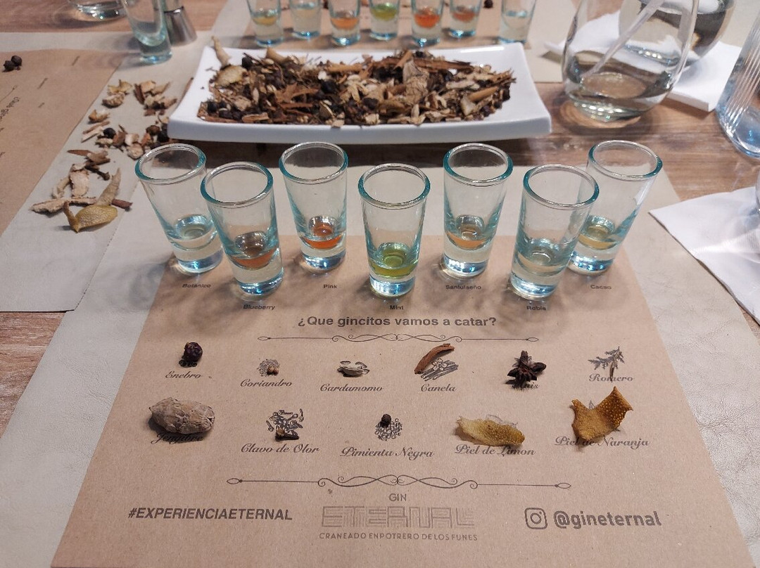 Gin Eternal-Potrero de los Funes必去景点