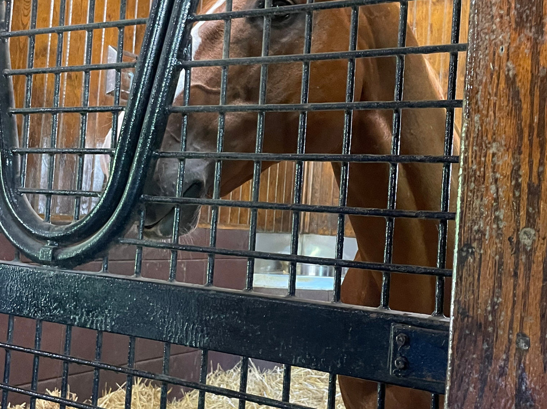 Coolmore America - Ashford Stud-Versailles必去景点