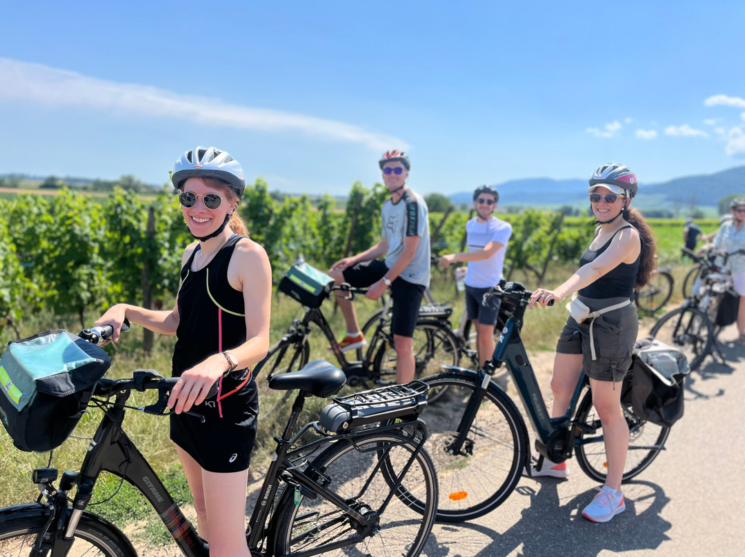 Bicyclette Go !-Voegtlinshoffen必去景点