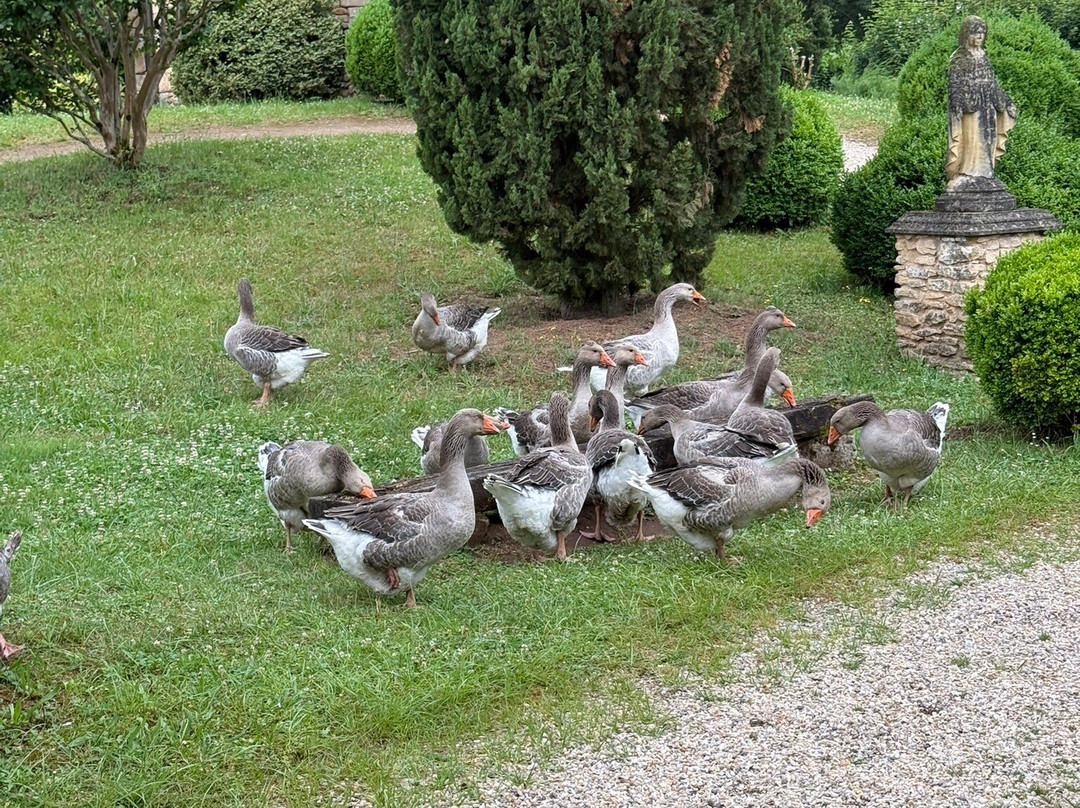 Parc Le Bournat-Le Bugue必去景点