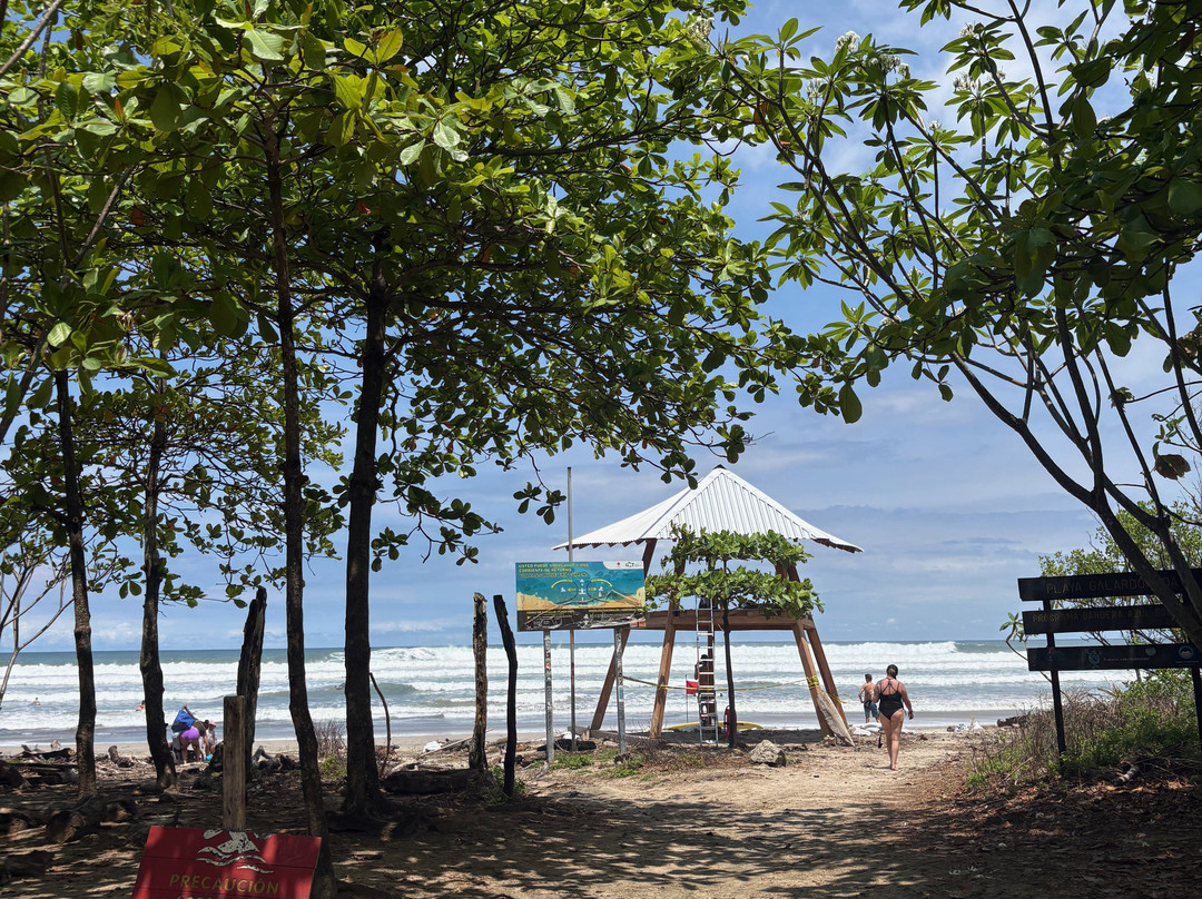 Villa Mango B&B主图