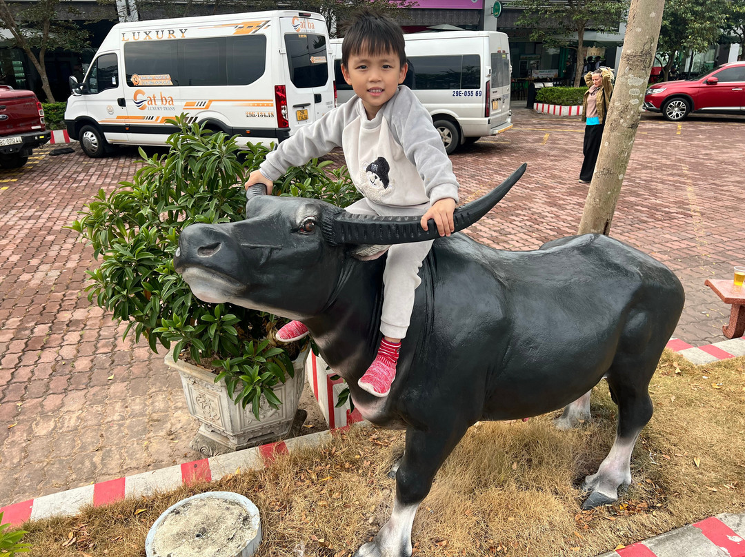 Good Morning Cat Ba-河内必去景点