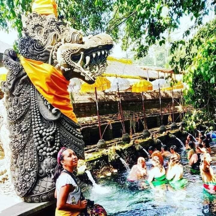 Bali Experienced Driver-吉安雅必去景点