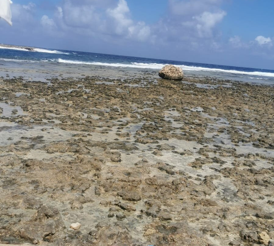 Xwejni Bay-Marsalforn必去景点