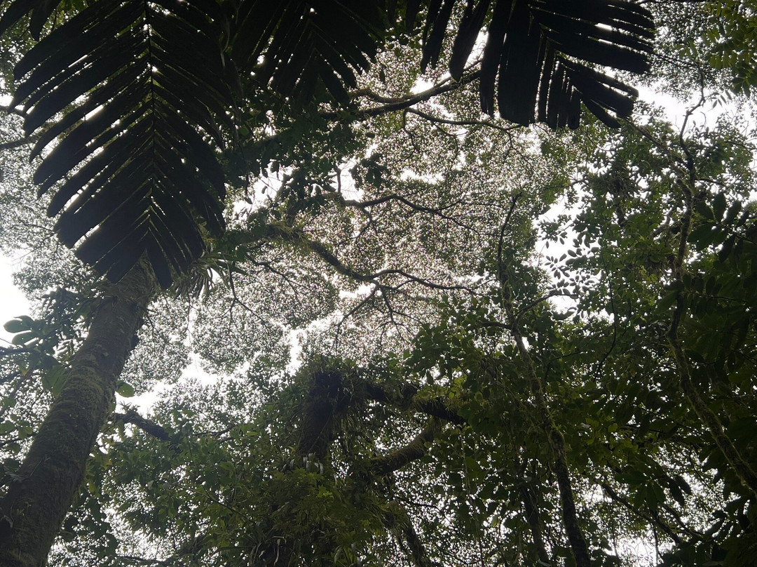 Wildlife Tours Costa Rica - Arenal-福德圣卡洛斯必去景点