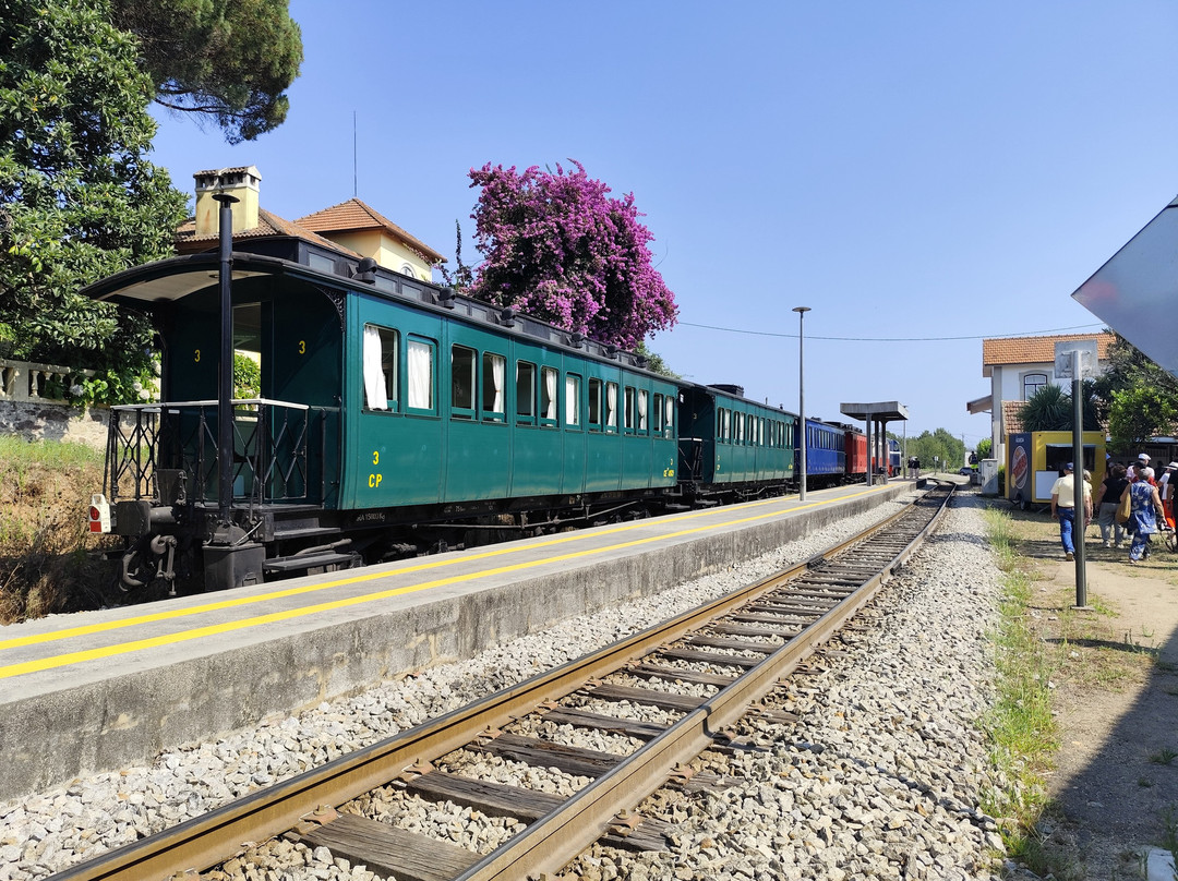 Comboio Histórico do Vouga-阿威罗必去景点