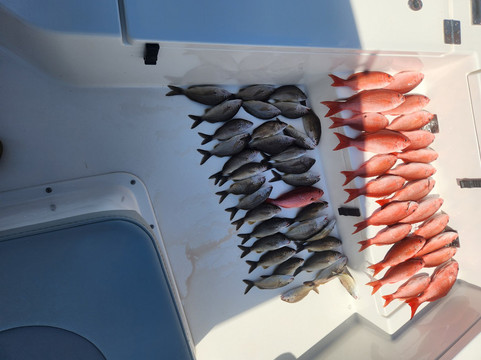 PENSACOLA FISHING CO.-纳瓦拉必去景点