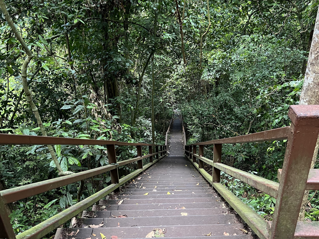 Gomantong Cave Sandakan-山打根必去景点