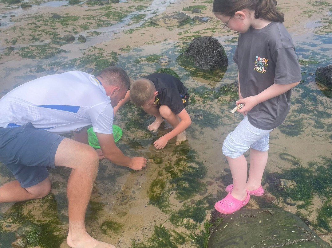 Saltburn Beach-Saltburn-by-the-Sea必去景点