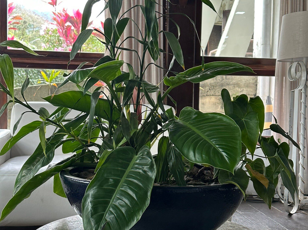 Hotel Termas do Lago主图