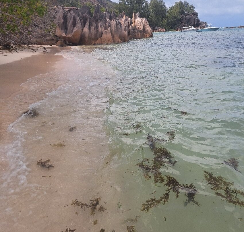 Praslin: Curieuse & St Pierre Island Day Trip with Barbecue-Curieuse Island必去景点