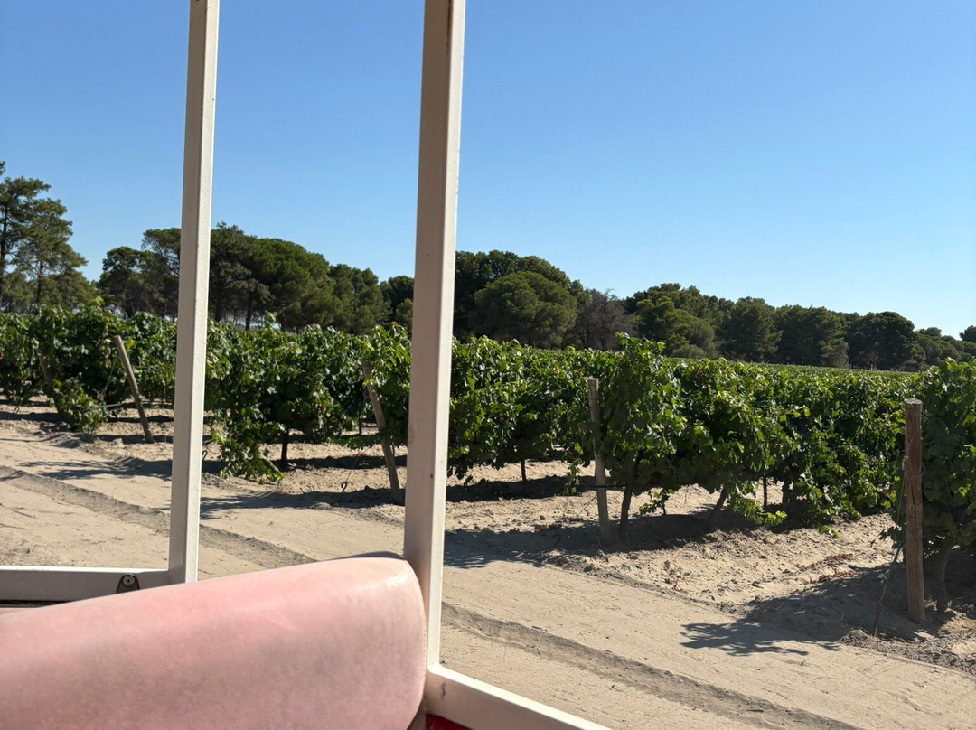 Domaine Royal de Jarras-艾格莫尔特必去景点