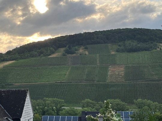 WeinBergHotel Nalbach Reil/Mosel主图