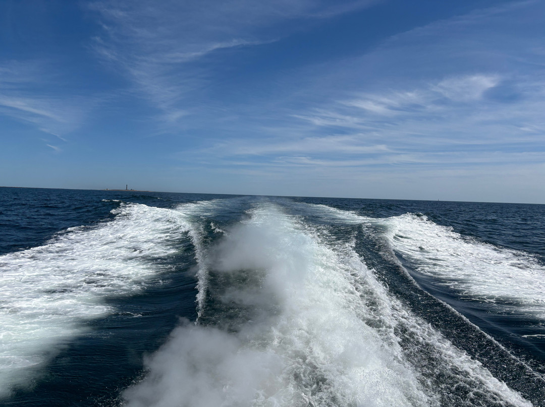Catch Your Dinner Lobster Tours-Corea必去景点