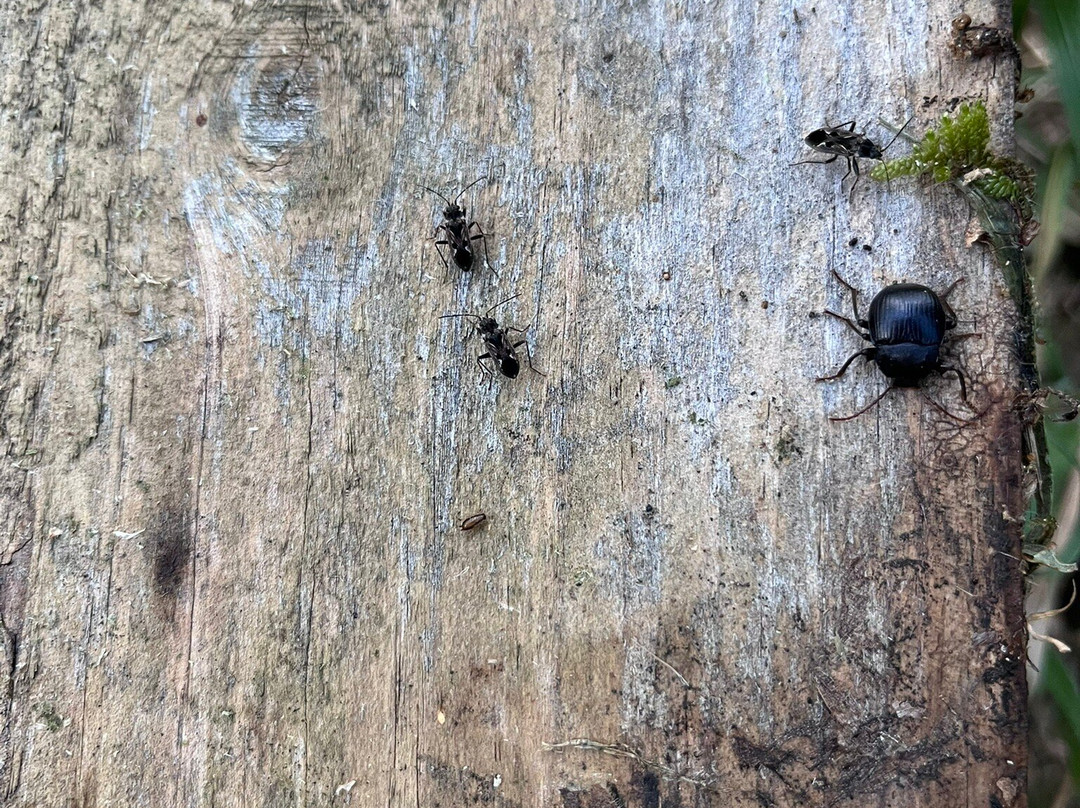 Daunia Avventura-Biccari必去景点