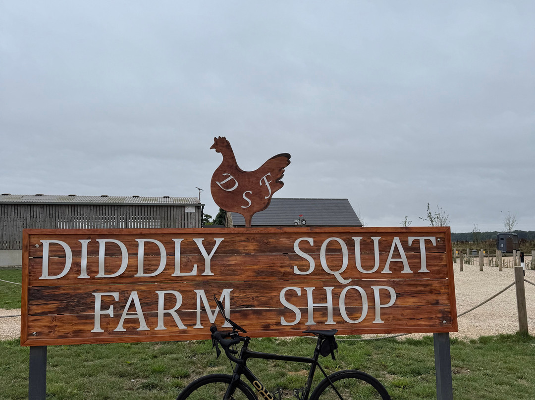 TY Cycles-奇平诺顿必去景点