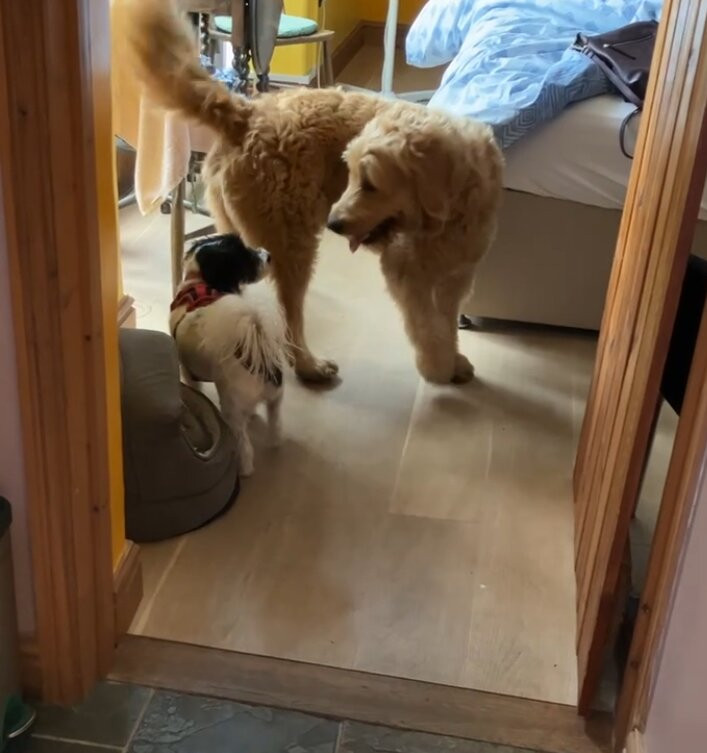 The Orangery B&B主图