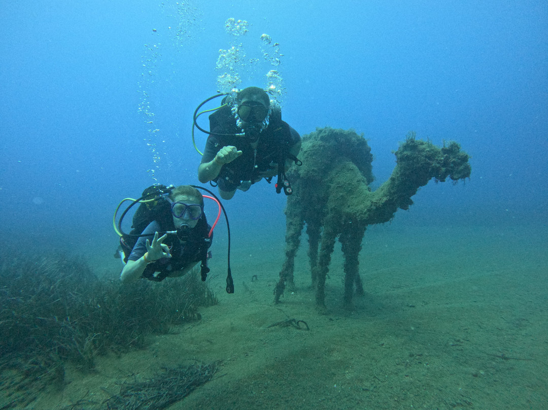 Side Azura Dive Center-马纳夫加特必去景点