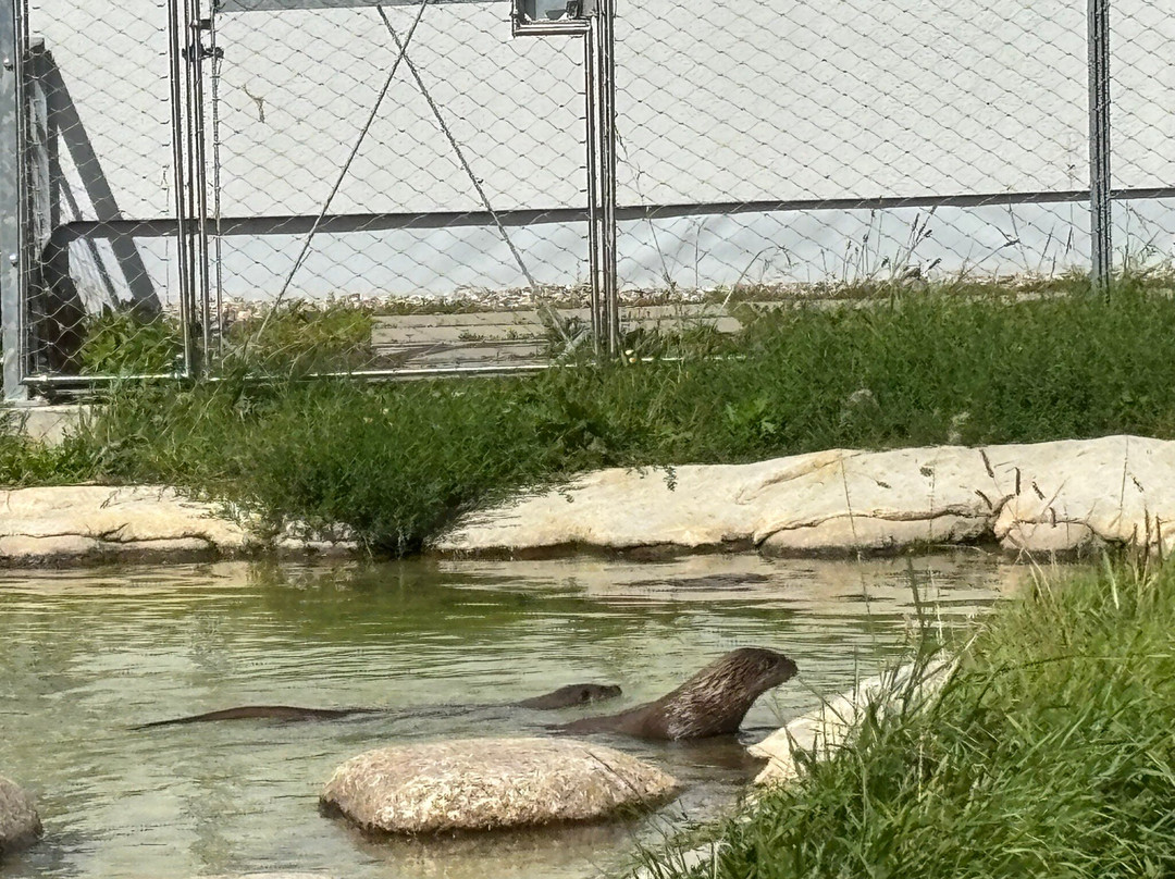 Multimar Wattforum-Toenning必去景点