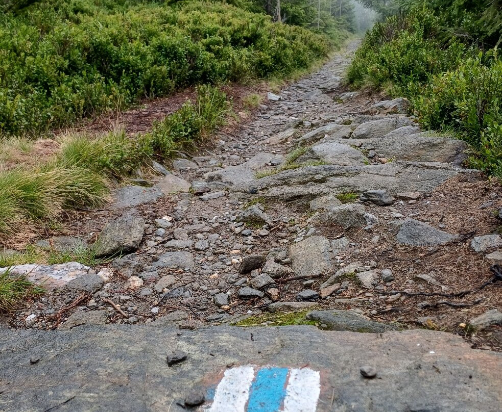 Hotel Friesovy Boudy主图