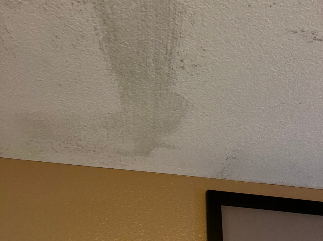 Super 8 by Wyndham Rolla主图