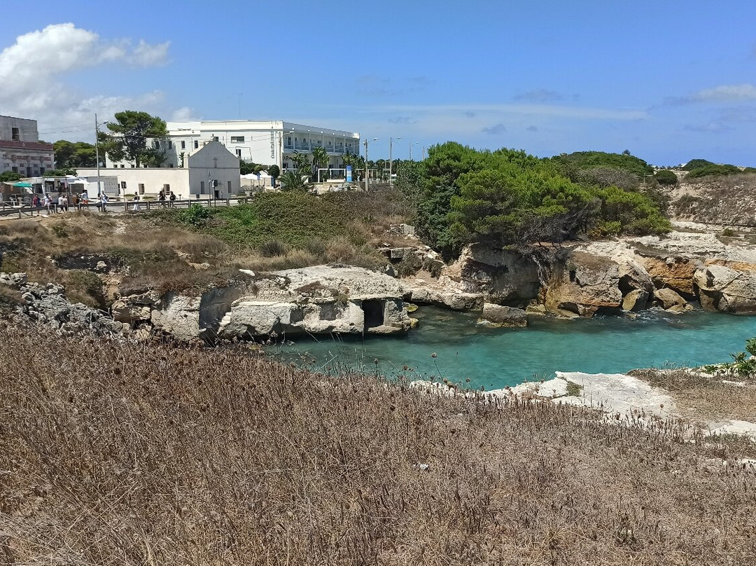 Oasis Park Hotel主图