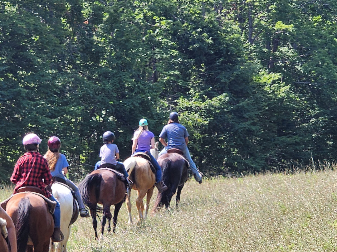 Maple Ridge Stables, LLC-Vanderbilt必去景点