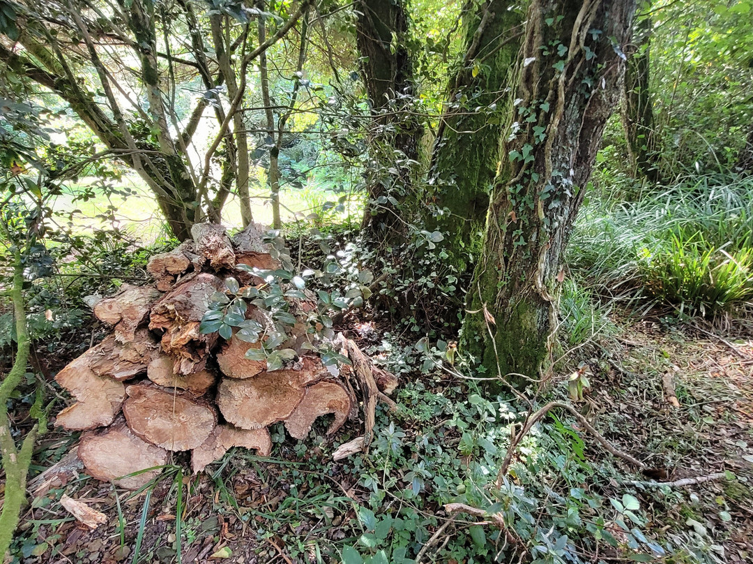 Fast Rabbit Farm Gardens-达特茅斯必去景点