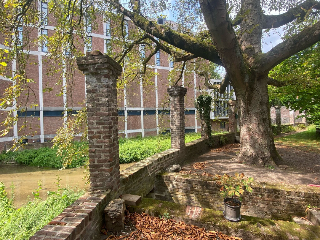 Natural History Museum of Maastricht-马斯特里赫特必去景点