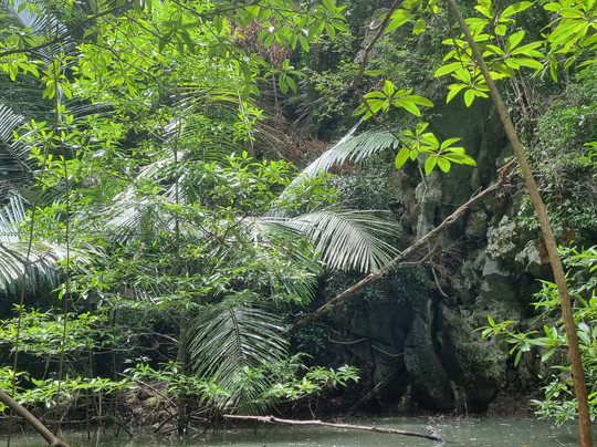 Paddle Asia - Private Custom Kayak Tours-普吉镇必去景点