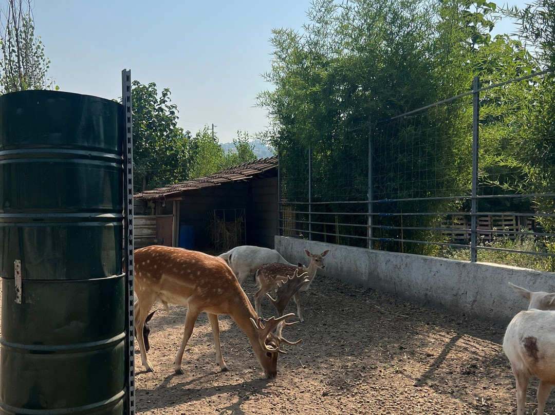 Quinta Pedagógica Quinta das Manas-吉马良斯必去景点