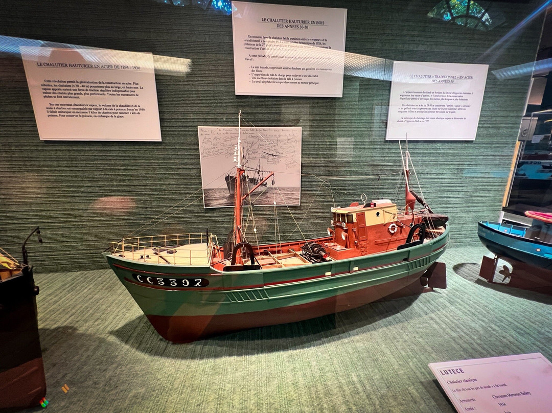 Musee de la Peche-孔卡尔诺必去景点