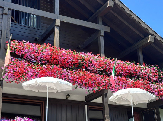 Hotel Panorama主图