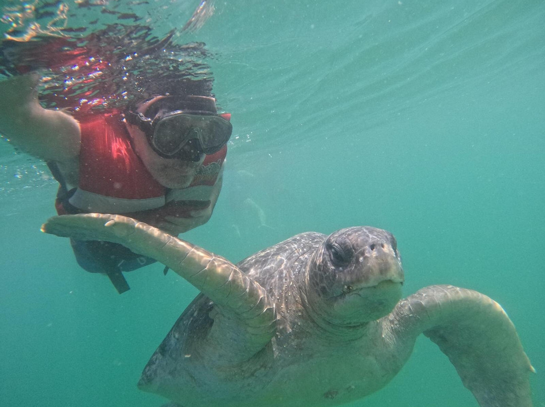 Muelle Viejo Bungalows, Hotel de Playa.主图